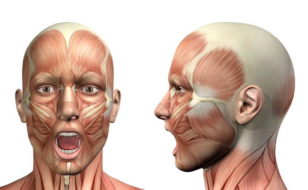 Temporalis Muscle Reduction