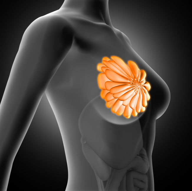 Composite Inverted Nipple Repair