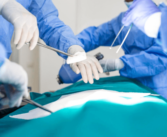 Daehan Minimally Invasive Vaginal Prolapse Repair