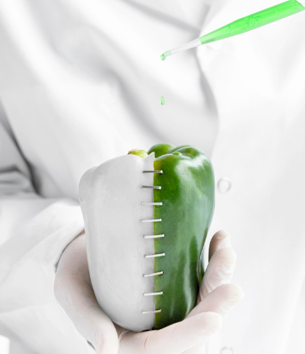 Eco-Friendly Composite Inlay