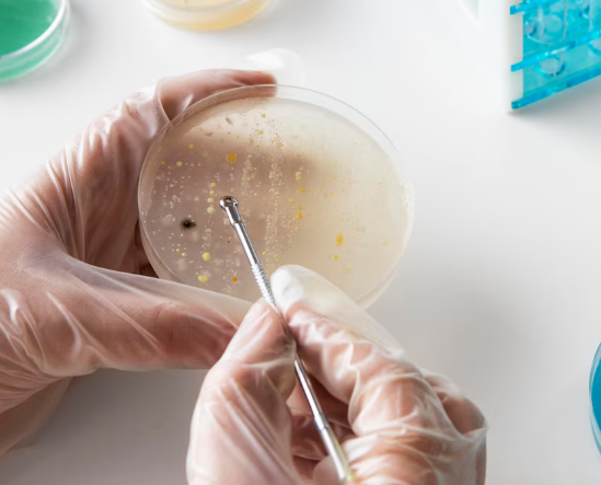 Minimal Damage Sperm Freezing