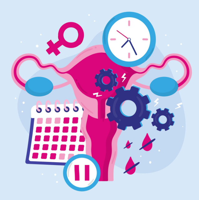 Estradiol Monitoring & Cycle Regulation