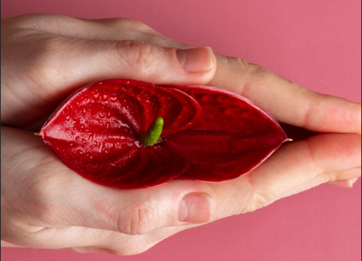 Intima Hood Rejuvenation