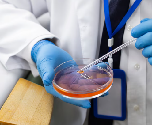 Genital Herpes Testing & Treatment