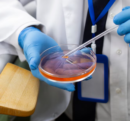 Premium Embryo Cryopreservation