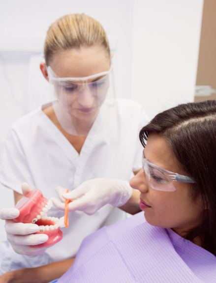 Premium Titanium Implant