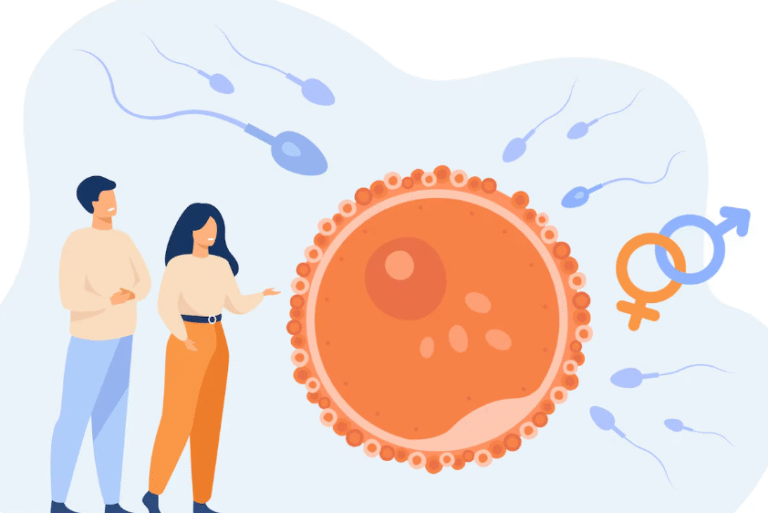 Recombinant FSH Ovulation Induction