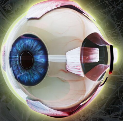 Blood Flow-Based Glaucoma Analysis Program