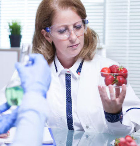 Medical Weight Loss Meal Coaching Program